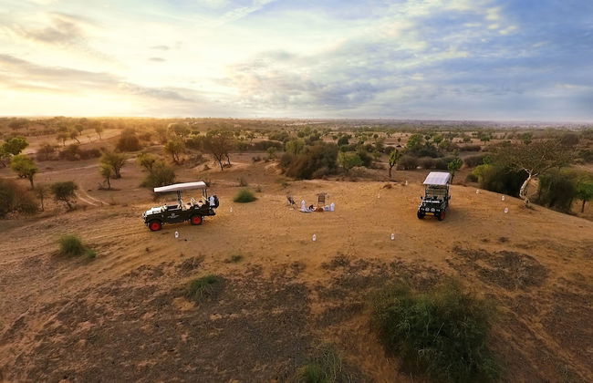 Alsisar Mahal - A Heritage Hotel - Foto 35