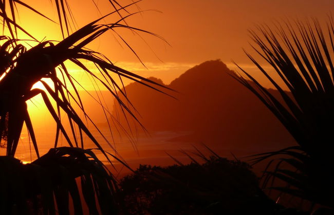Bethells Beach Cottages - Foto 51