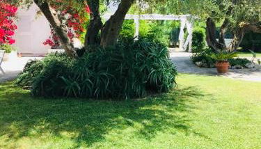 Villa sul mare Rosa Marina - Foto 4