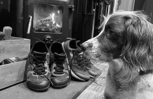 Luxury Shepherd Hut in the Peak District - Foto 45