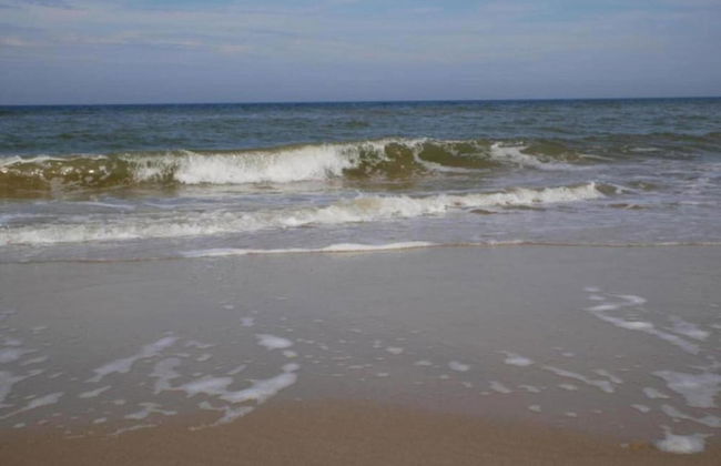Quaint Holiday Home in Bergen aan Zee near Sea - Photo 35