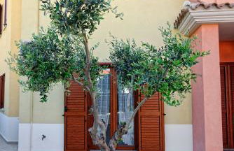 Residence La Corte Di Anastasia - Foto 6