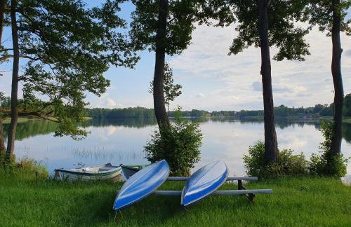 Domki w lesie nad Drawskim - Foto 7