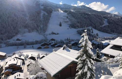 Appartement de charme rénové proche du centre et des pistes avec Wi-Fi - FR-1-692-91 - Photo 3