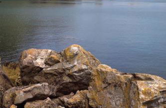 The Osborne Apartments - Foto 101