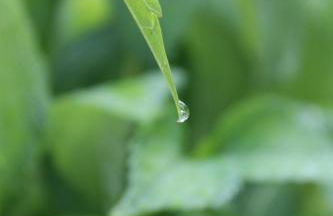 Stresa Complex LevOasi - Foto 67