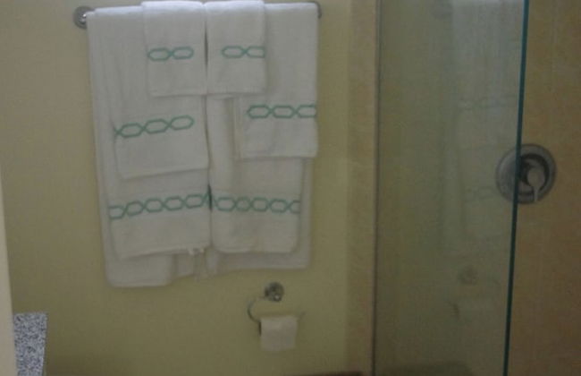 Palm BlossomJA Manor - Foto 21