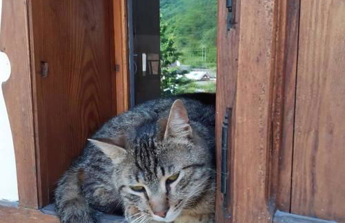 Tana del Paradiso - Photo 12