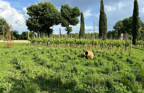 Fornace del Conte - Foto 79