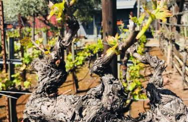 Andrea's Hidden Cottage - Foto 2