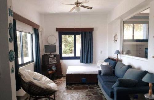 Blue Vista-Ikaria - Photo 16