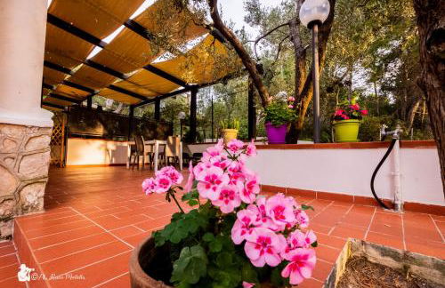 Villa Anna Residence Rodi - Foto 14