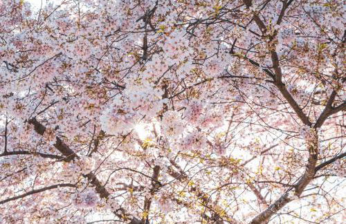 Stylish lake home with private beach, dock and firepit for swimming, kayaking, hiking - Foto 7