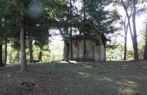 Agriturismo Podere Montese - Foto 78