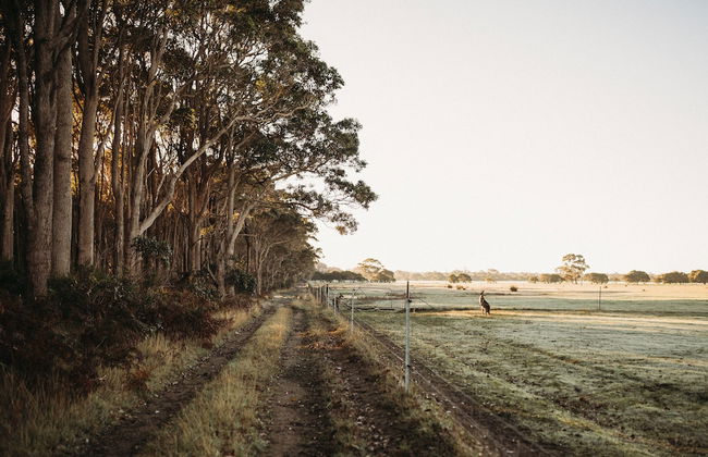 Margaret River Holiday Cottages - Photo 48