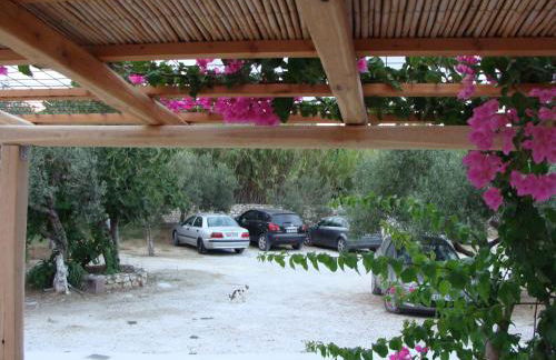 ΠΑΡΑΘΙΝ ΑΛΟΣ 2 - Photo 48