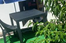 Serra e Mar - Foto 18