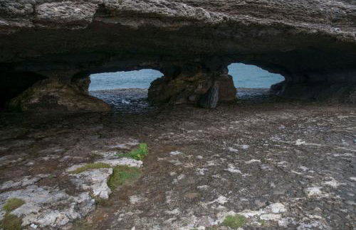 Finca Seles - Photo 71