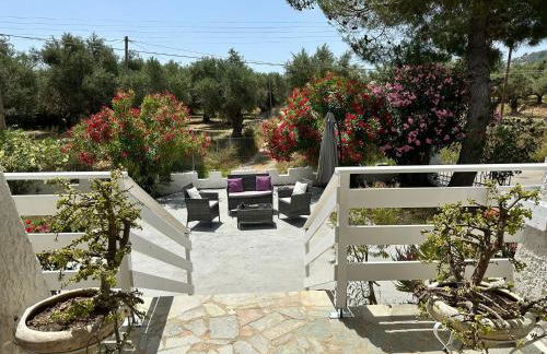 Zante Star Summer House - Photo 19