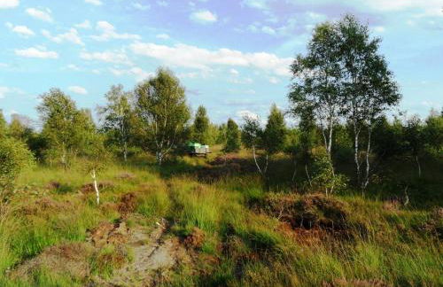 Ferienwohnung Uchte - Photo 53