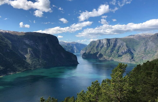 Ferrovia Flam, crociera Nærøyfjorden e punto panoramico Stegastein - Foto 11