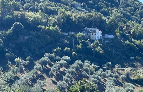 Casa Oliva Casperia, house & private olive grove - Foto 9