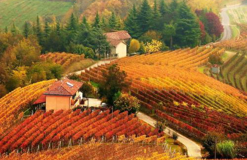 Casa Badinot - Foto 1