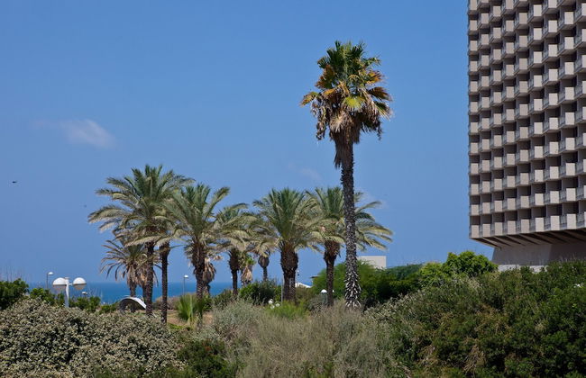 Liber Apartments - Foto 54