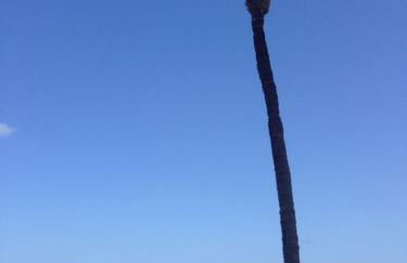 Casa Lovia - Foto 43