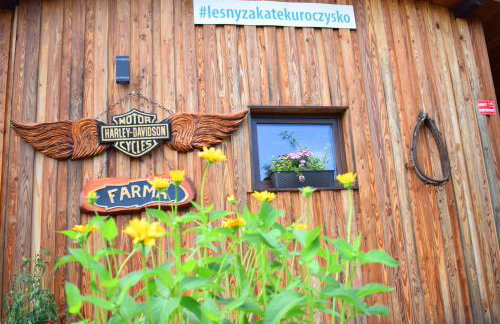 Leśny Zakątek Uroczysko -Apartamenty Nowoczesnej Stodoły - Foto 43