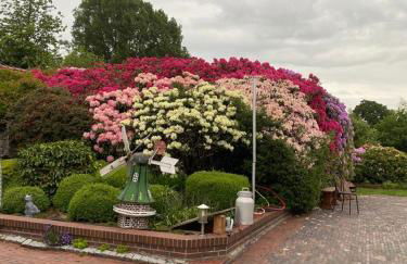 Schwalbenhof - Foto 21