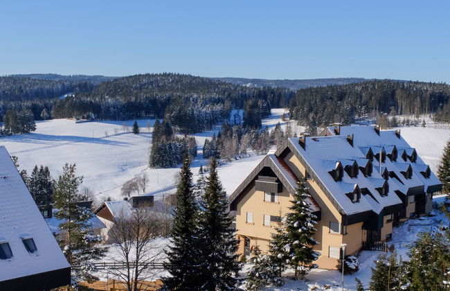 Schwarzwaldblick - Foto 15