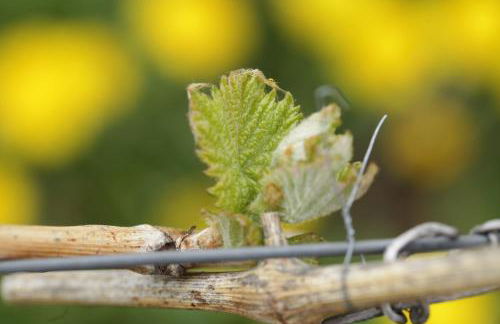 Appartement Familie Ernst - Foto 3