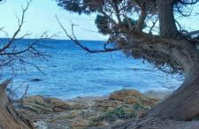 La Casa dei Pesci - Foto 44