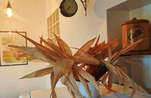 Massaciuccoli Romana - Foto 14