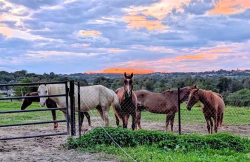 Chata z Widokiem - Foto 23