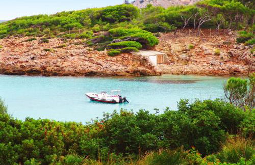 Finca Almendra - Photo 33