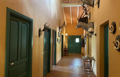 EL BAUZAL DE TRUJILLO - Foto 5