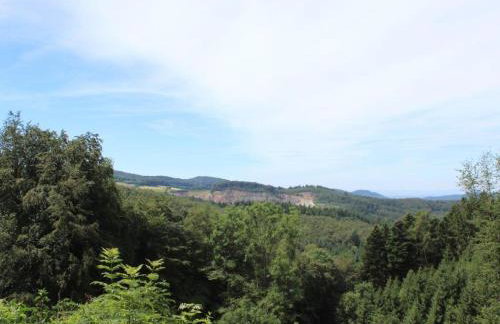 Ferienwohnung Rimbach - Foto 16