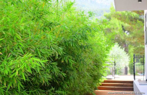 Baltimore.House - Foto 72