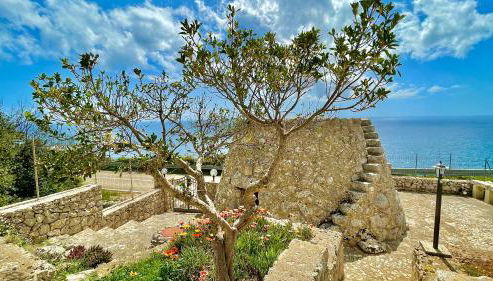 Villetta Niccolò - Foto 5, Garden