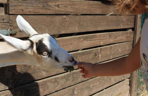 Cascina Bosco Gerolo - Foto 59