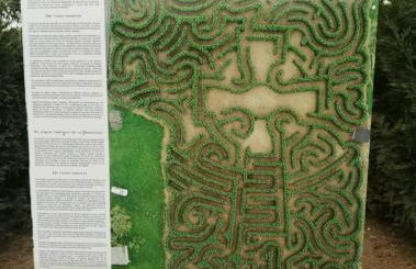 Adiva Praia Miño - Foto 32