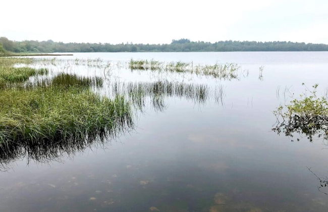 Holiday Home in Ansager - Photo 33