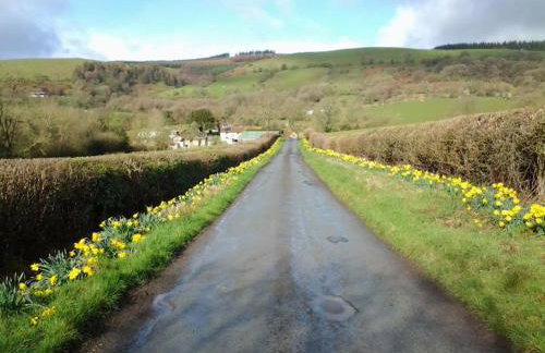 Cosy and quiet one bed barn conversion. - Foto 15