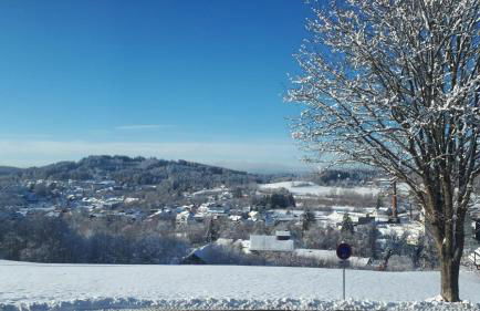 FW Scheifele - Foto 18