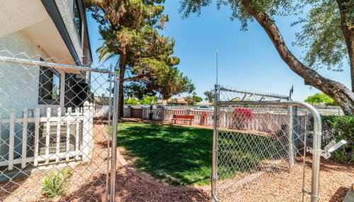 Phoenix Studio King Deluxe - Photo 4