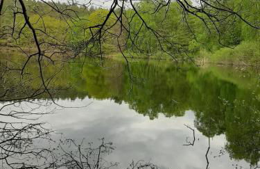 An den Sieben Seen - Foto 36