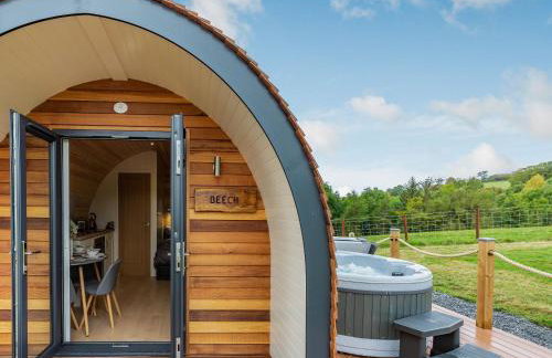 Beech Uk36260 - Foto 2