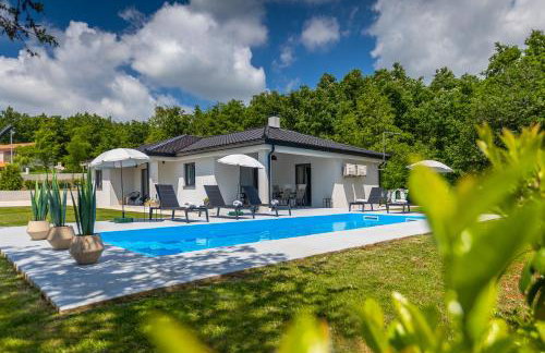 Villa Rubus by IstriaLux - Photo 1